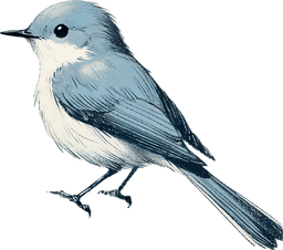 Blue-gray Gnatcatcher