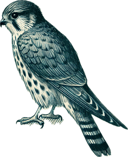 Merlin