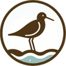 shorebird
