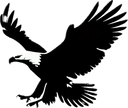 Birds of Prey