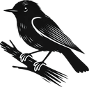 Songbirds & Flycatchers